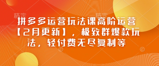 拼多多运营玩法课高阶运营【2月更新】，极致群爆款玩法，轻付费无尽复制等-第二象限