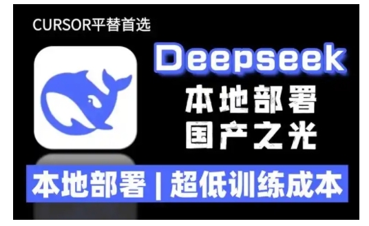 2025年deepseek R1 大型模型本地安装部署(文件+教程)本地部署，超低训练成本-第二象限