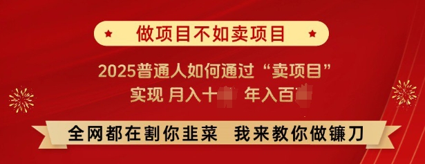 必看，做项目不如卖项目，2025普通人如何通过“卖项目”实现月入十个，年入百个-第二象限
