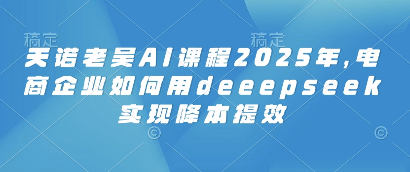 天诺老吴AI课程2025年，电商企业如何用deeepseek实现降本提效-第二象限
