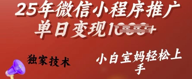 25年微信小程序推广单日变现多张，独家技术，小白宝妈轻松上手【揭秘】-第二象限
