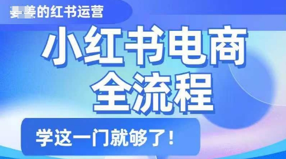 小红书电商全流程，精简易懂，从入门到精通，学这一门就够了-第二象限