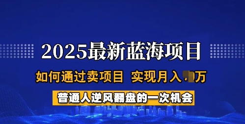 2025蓝海项目，普通人如何通过卖项目，实现月入过W，全过程【揭秘】-第二象限