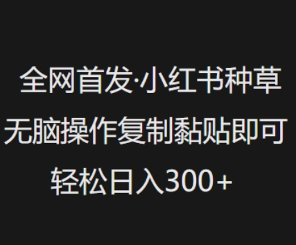 全网首发，小红书种草无脑操作，复制黏贴即可，轻松日入3张-第二象限