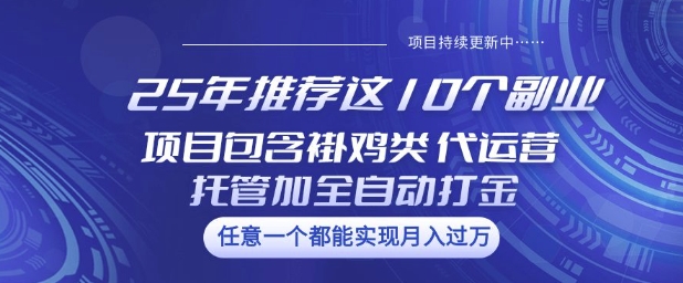 25年推荐这10个副业项目包含褂鸡类、代运营托管类、全自动打金类【揭秘】-第二象限